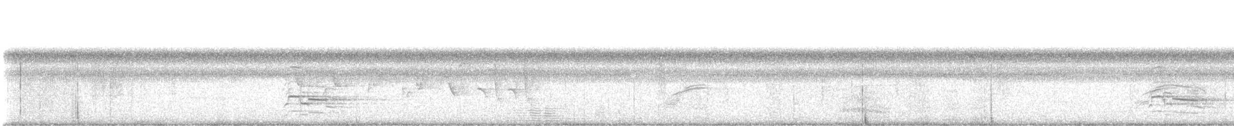 Red-shouldered Hawk - ML639660353