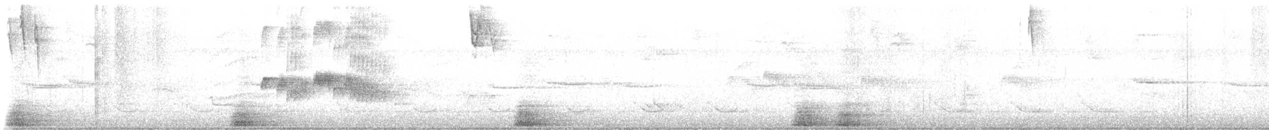 Zéna de Porto Rico - ML639661755