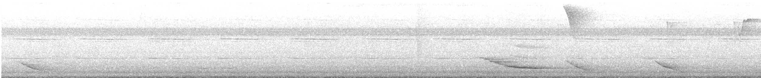 Common Hill Myna - ML639662509