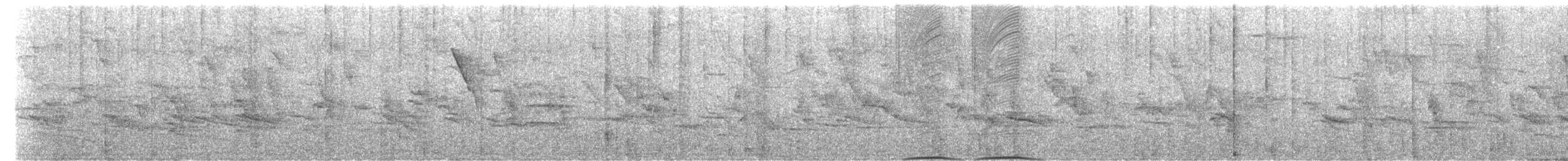 Grayish Baywing - ML639666458