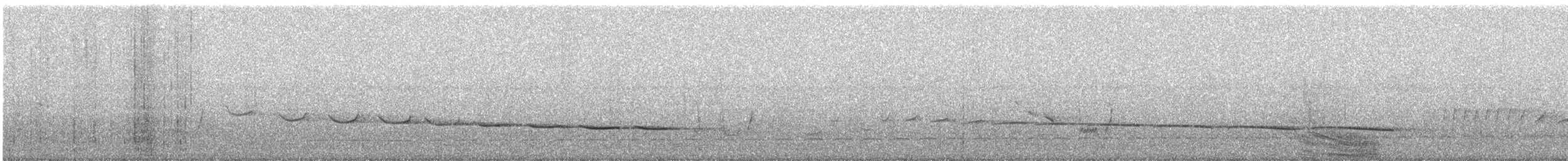 Short-tailed Babbler (Mourning) - ML639667736