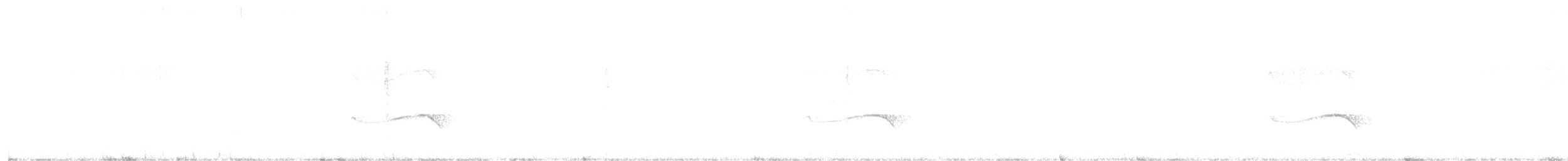 Brushland Tinamou - ML639667771