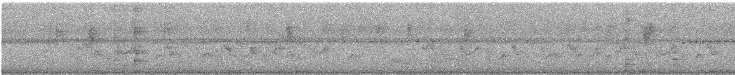Chestnut-bellied Seed-Finch - ML639668488