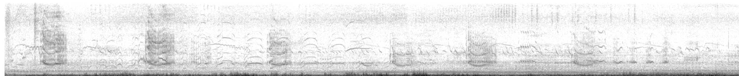 Royal Tern - ML639668491