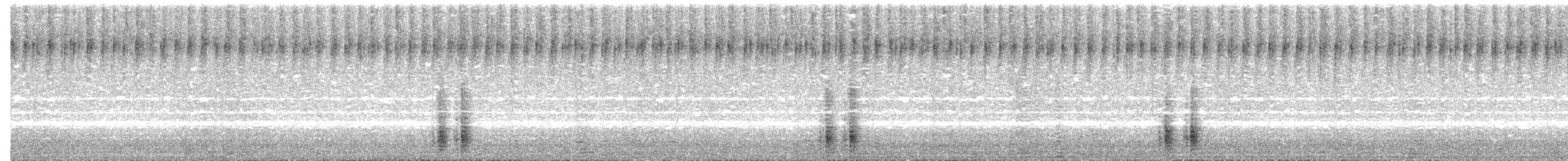 mandelík hajní - ML639668580