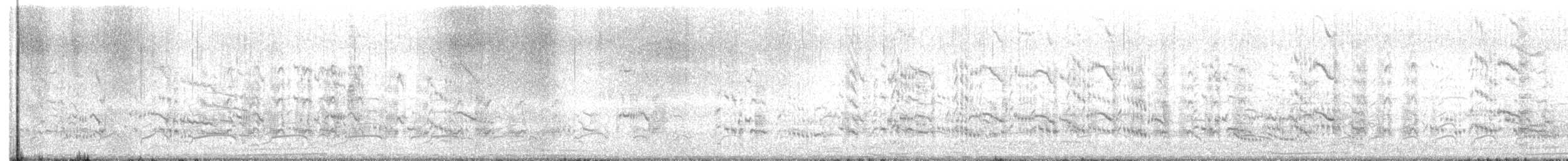 Royal Tern - ML639668620