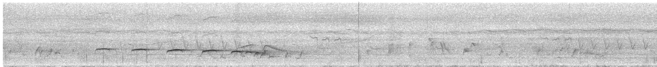 Plaintive Cuckoo - ML639669544