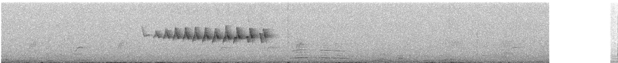 Bar-tailed Treecreeper - ML639671916
