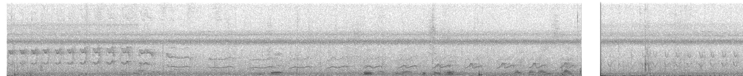 Spotted Puffbird - ML639672591