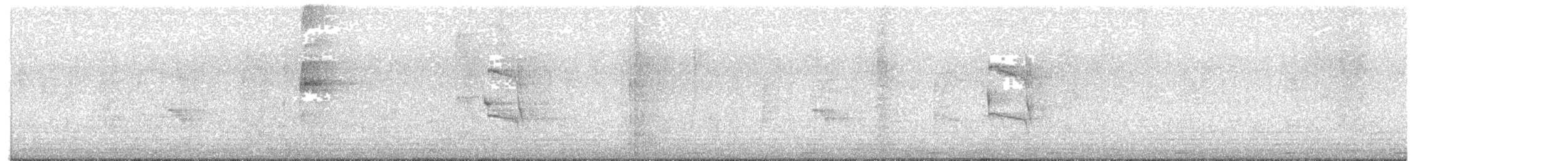 Social Flycatcher - ML639672600