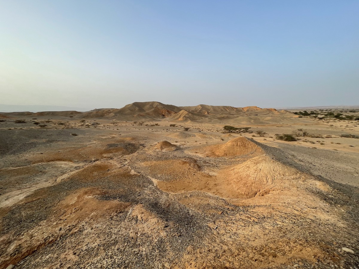 null - ML639675941