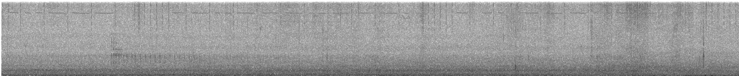 Belted Kingfisher - ML639678096