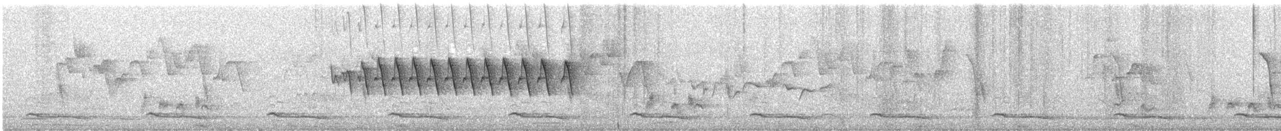 Bar-tailed Treecreeper - ML639678242