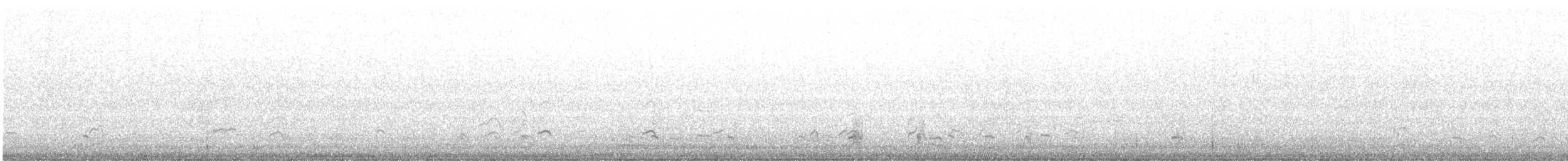 オオソリハシシギ（lapponica グループ） - ML639678683