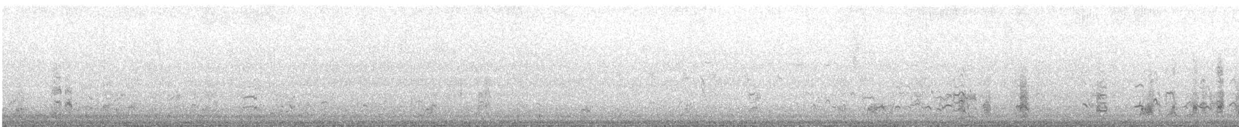 オオソリハシシギ（lapponica グループ） - ML639678684