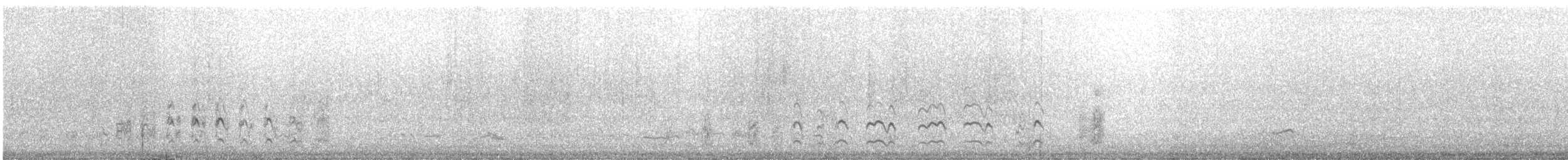 オオソリハシシギ（lapponica グループ） - ML639678685