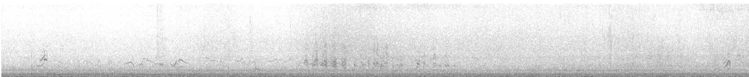 オオソリハシシギ（lapponica グループ） - ML639678686