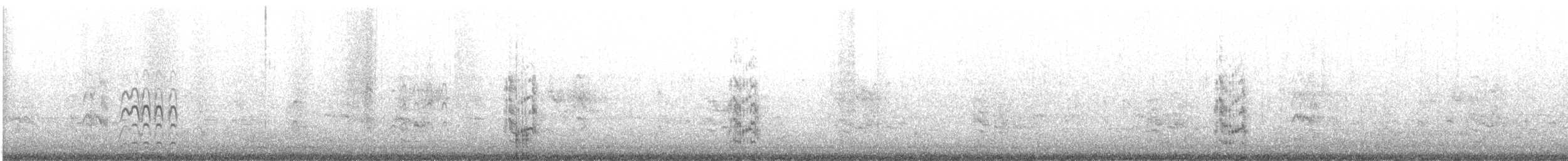 オオソリハシシギ - ML639679132