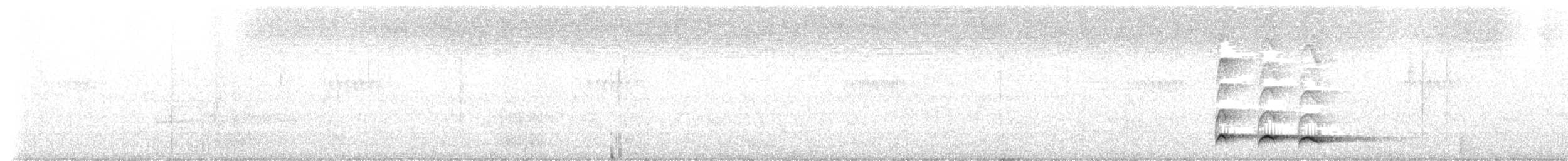 Red-chested Cuckoo - ML639679339