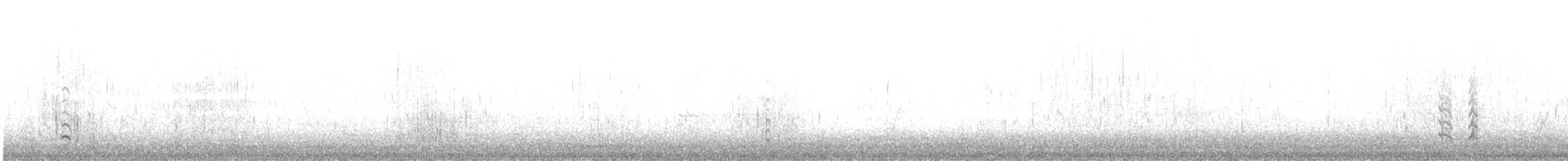 オオソリハシシギ - ML639679397