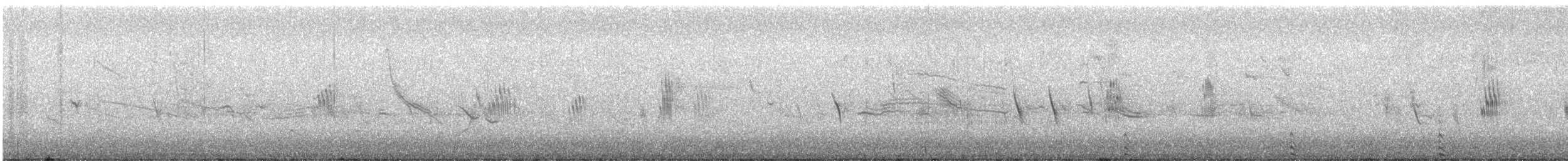 Chilean Swallow - ML639679460