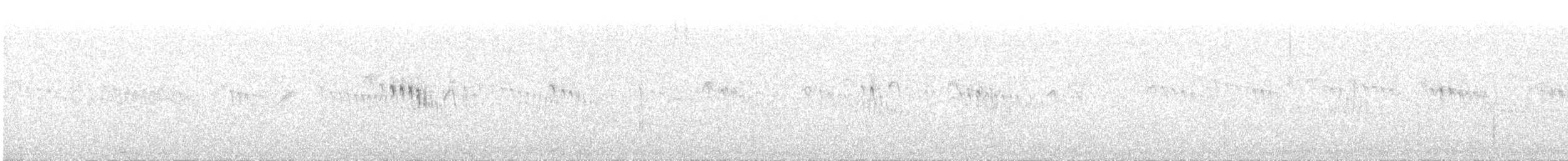 Little Swift - ML639680115