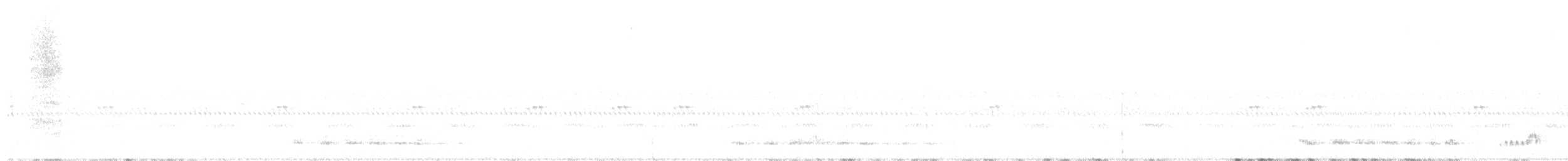 Elf Owl - ML639682308