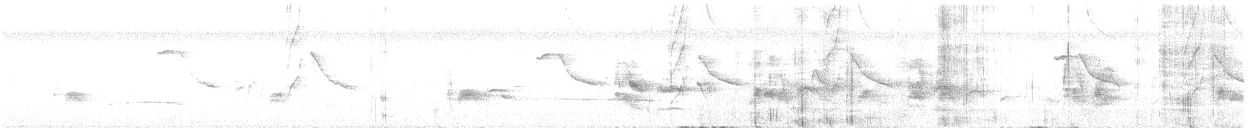 Rose-throated Becard - ML639682474