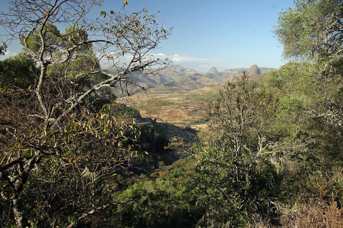 null - ML639682674