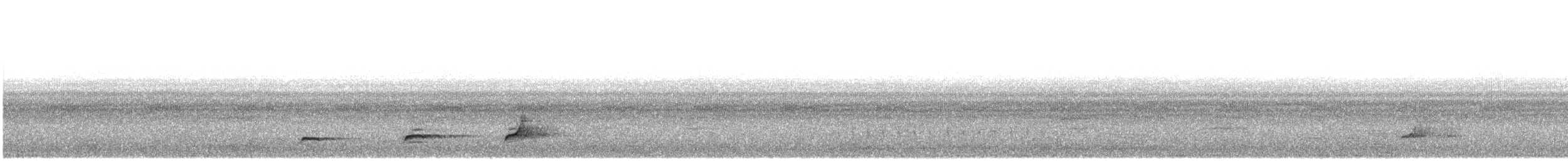 Northern Bobwhite - ML639682687