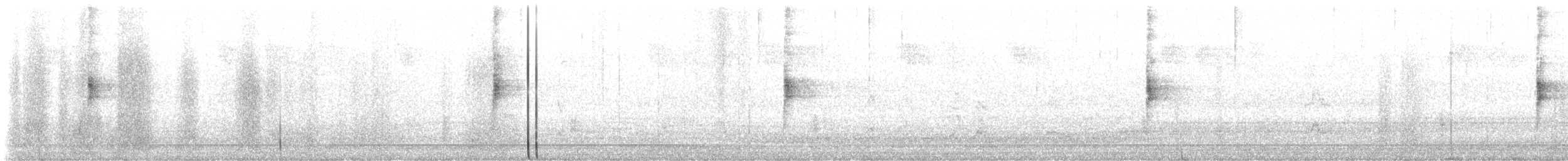 Northern Waterthrush - ML639682864