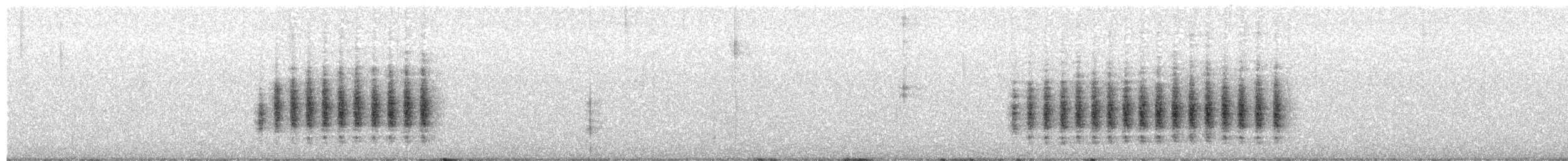 Black-tailed Gnatcatcher - ML639683034