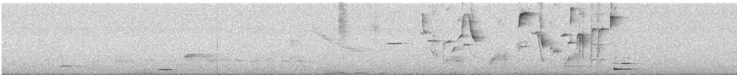 tui zpěvný - ML639683250