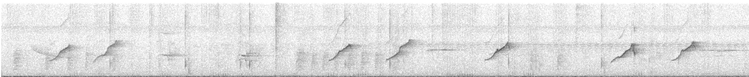 Wire-tailed Manakin - ML639683632