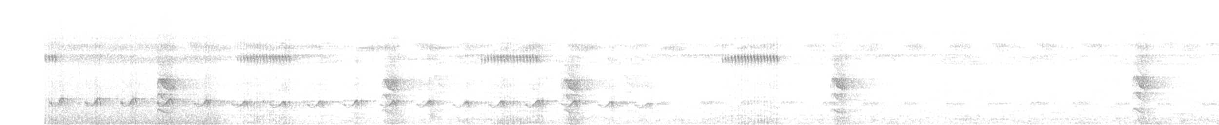 Spotted Puffbird - ML639685108