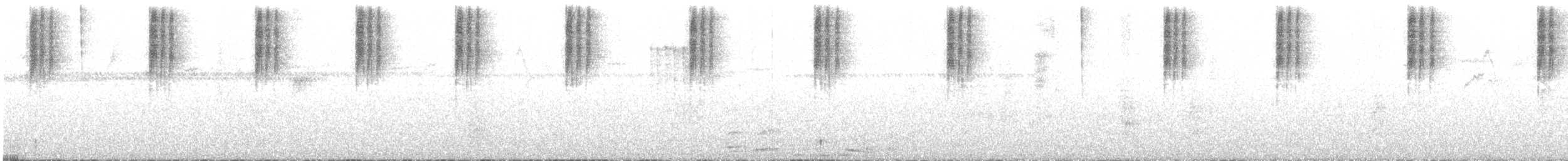 Violet-tailed Sylph - ML639688765