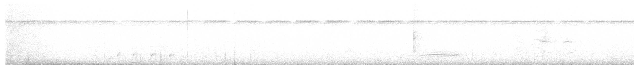 Long-tailed Manakin - ML639690678