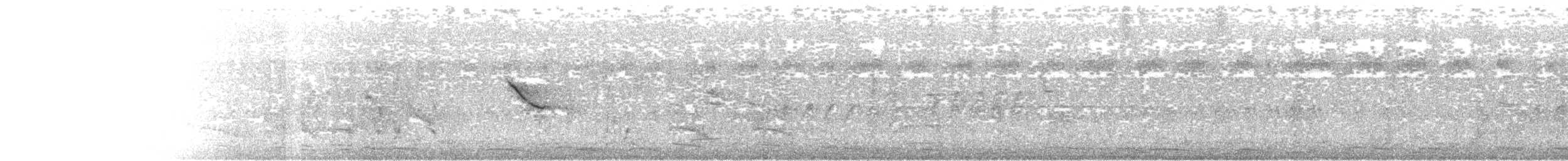 Morelet's Seedeater - ML639693176