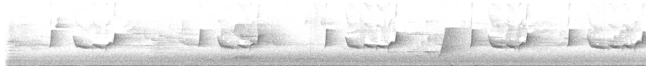 Yellow-breasted Boatbill - ML639693886