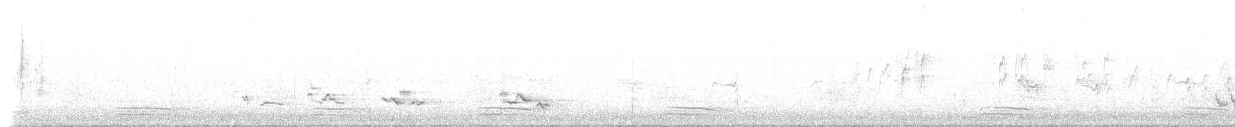 American Robin - ML639695553