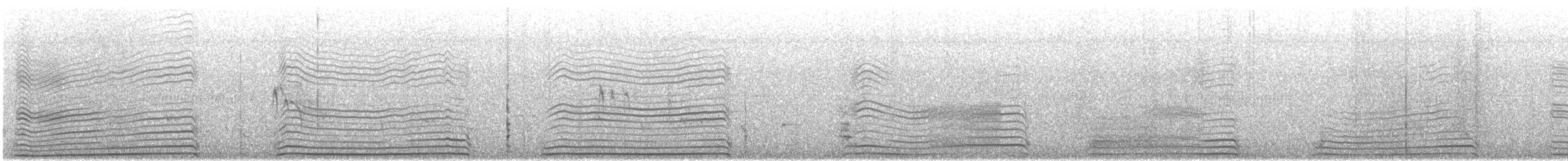 Black-tailed Gull - ML639695753