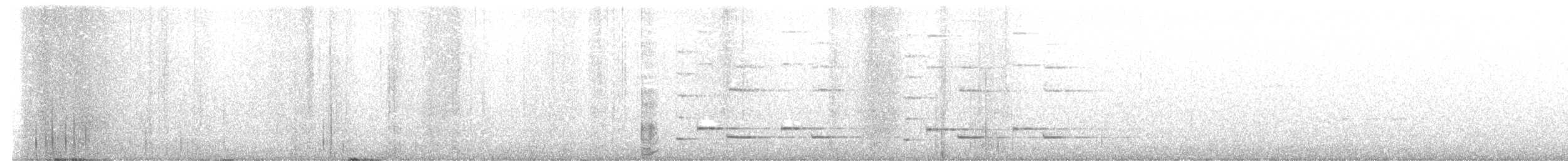 rødrosella - ML639696523