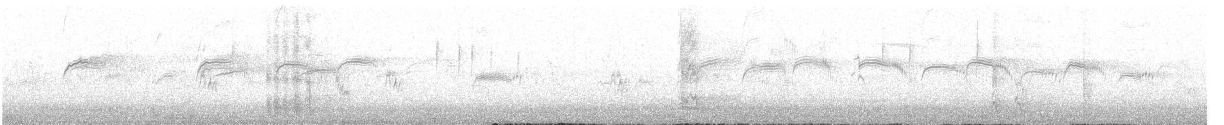 Common Swift - ML639699688