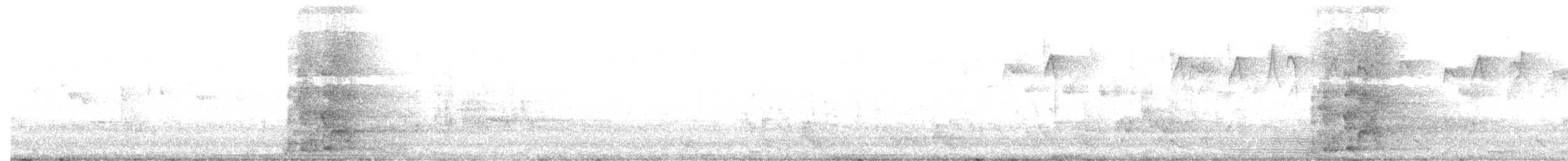 Yellow Wattlebird - ML639700412