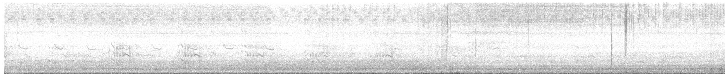 Royal Tern - ML639702621