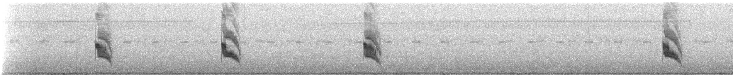 エボシキクタイランチョウ - ML639703041