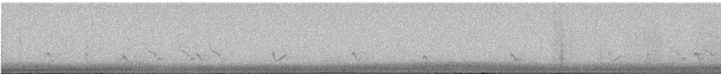 Gray Vireo - ML639703117