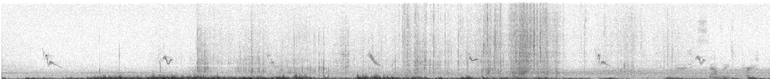 Gray Vireo - ML639703299