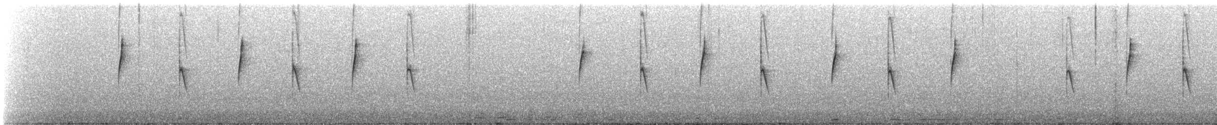 White-vented Violetear - ML639703315