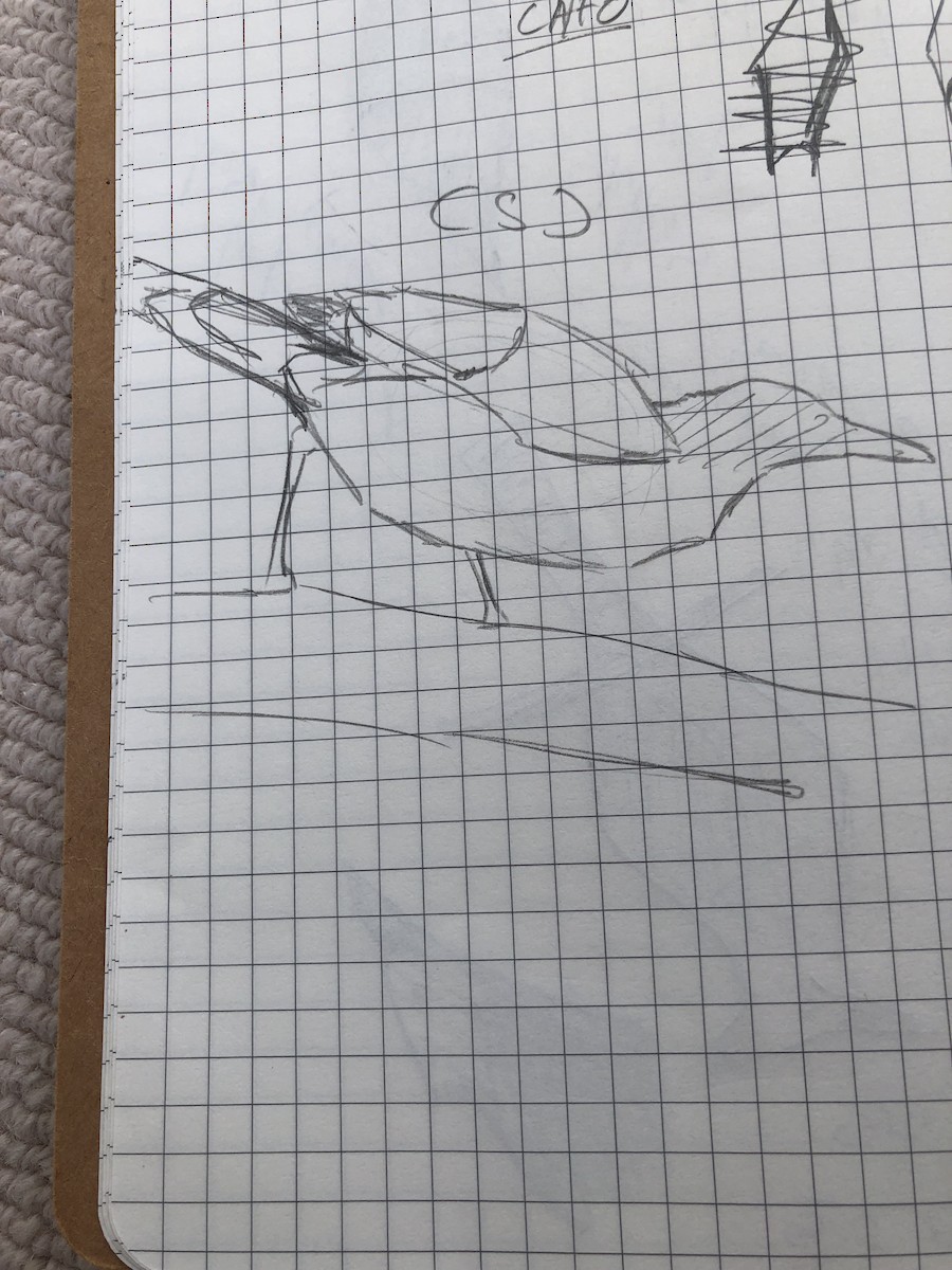 Kalifornienhäher - ML639703476